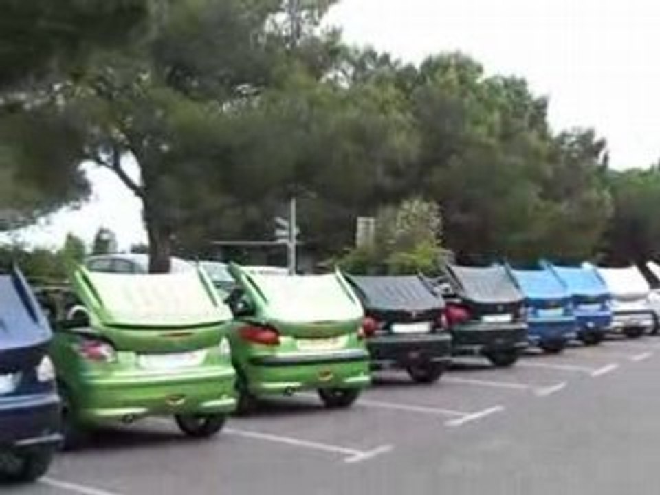 Détoitage 206 CC