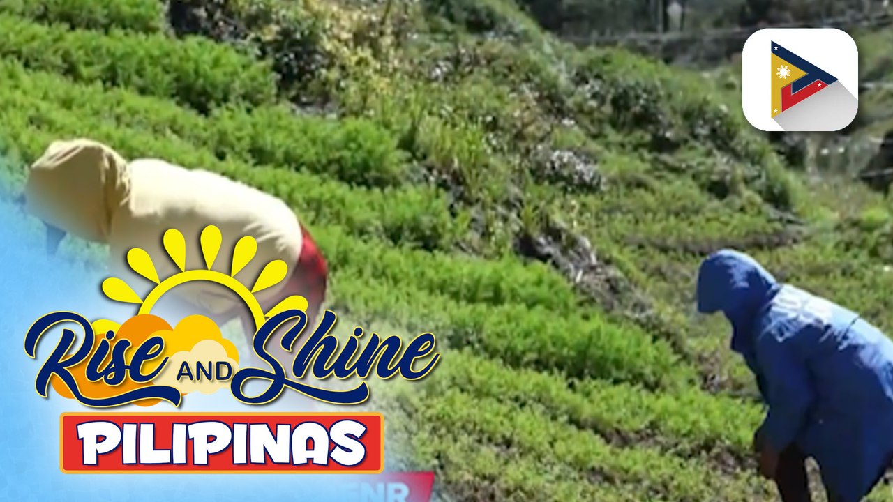 PBBM, ipinag-utos sa DENR na pabilisin ang serbisyo sa publiko | ulat ni Elijah Canlas