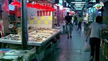 天水圍的夜與霧 (Night and Fog)｜任達華｜張靜初｜羅慧娟｜粵語中字｜2009