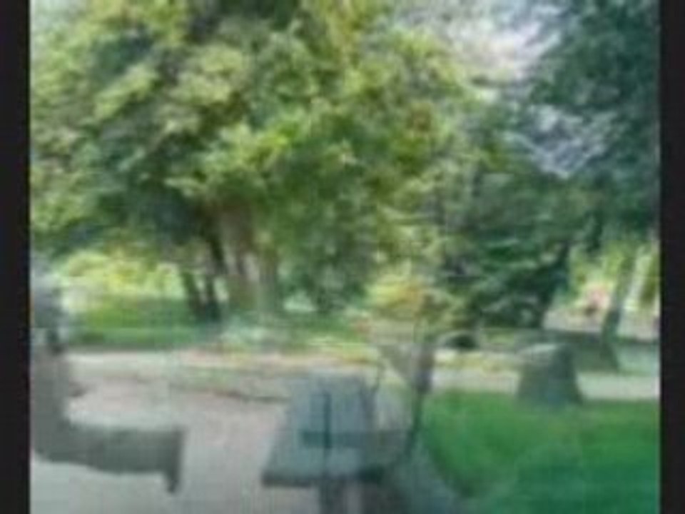 The--traceur