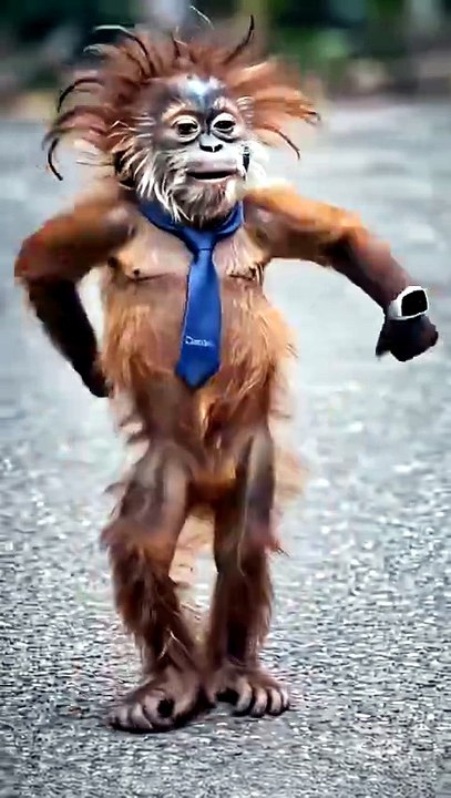Monkey dance clip 2