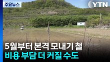 "농기계 돌리기 무서워" 고유가 속 '첫 모내기' / YTN