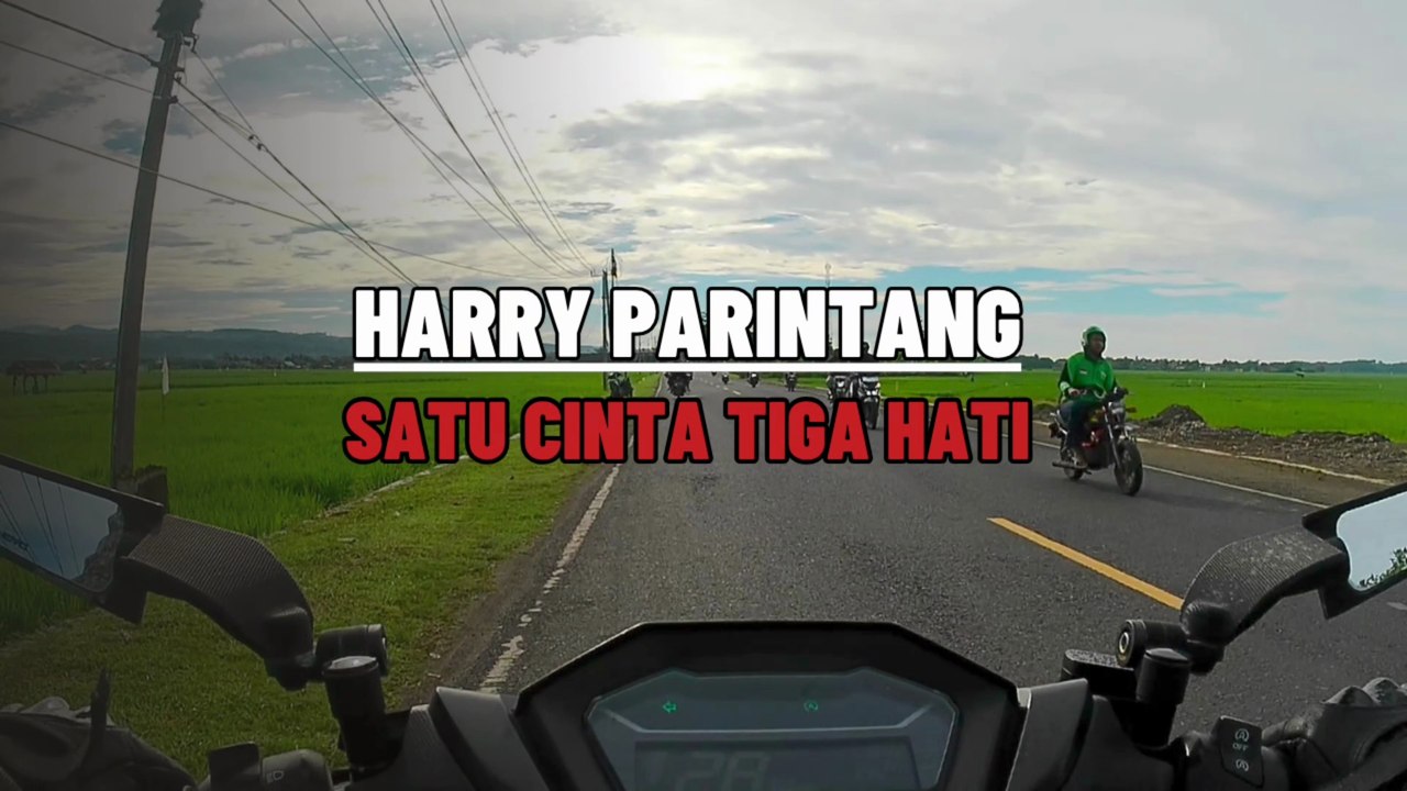 HARRY PARINTANG || SATU CINTA TIGA HATI