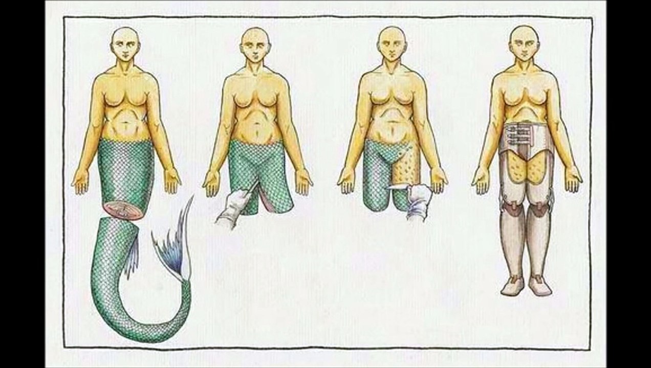 Die verbotene Erfindung Hörbuch deutsch