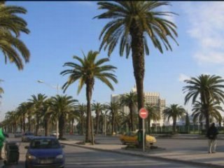Explore Tunis, the Heart of Tunisia 🇹🇳