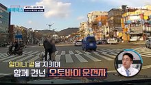 도로 위 주저앉은 할머니.. 이유는?