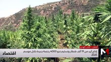 النشرة الاقتصادية - 23/04/2026