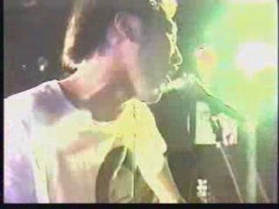 STOMPIN' BIRD - Dance Your Life