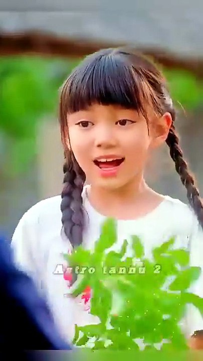 Entertainment video