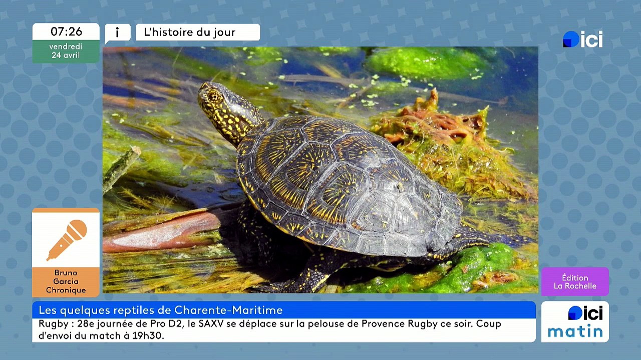 24/04/2026 - ici matin par ici La Rochelle en vidéo