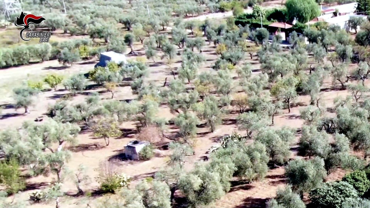 Andria: assalti a portavalori e caveau, confiscati ville e terreni per oltre un milione di euro a imprenditore andriese