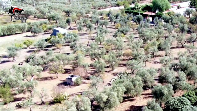 Andria: assalti a portavalori e caveau, confiscati ville e terreni per oltre un milione di euro a imprenditore andriese