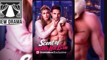 Scent of the CEO's Lost Love Full