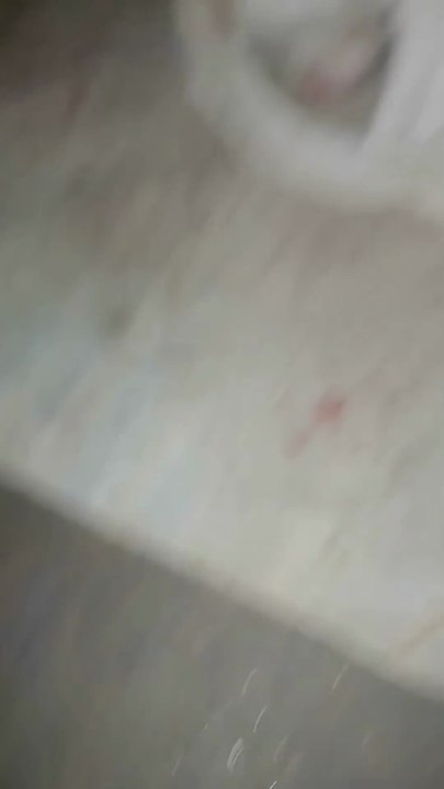 Meet Rocky, my strong and loyal Indian Desi Dog / Indie Dog.  In this video I am training Rocky. Desi dogs are very smart, loyal and best guard dogs for Indian homes.  Breed: Indian Pariah Dog / Desi Dog Nature: Loyal, Alert, Protective Age: [4yer