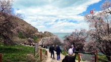 Önceden gelmediklerine pişman oldular: Akdamar Adası'na yoğun ilgi