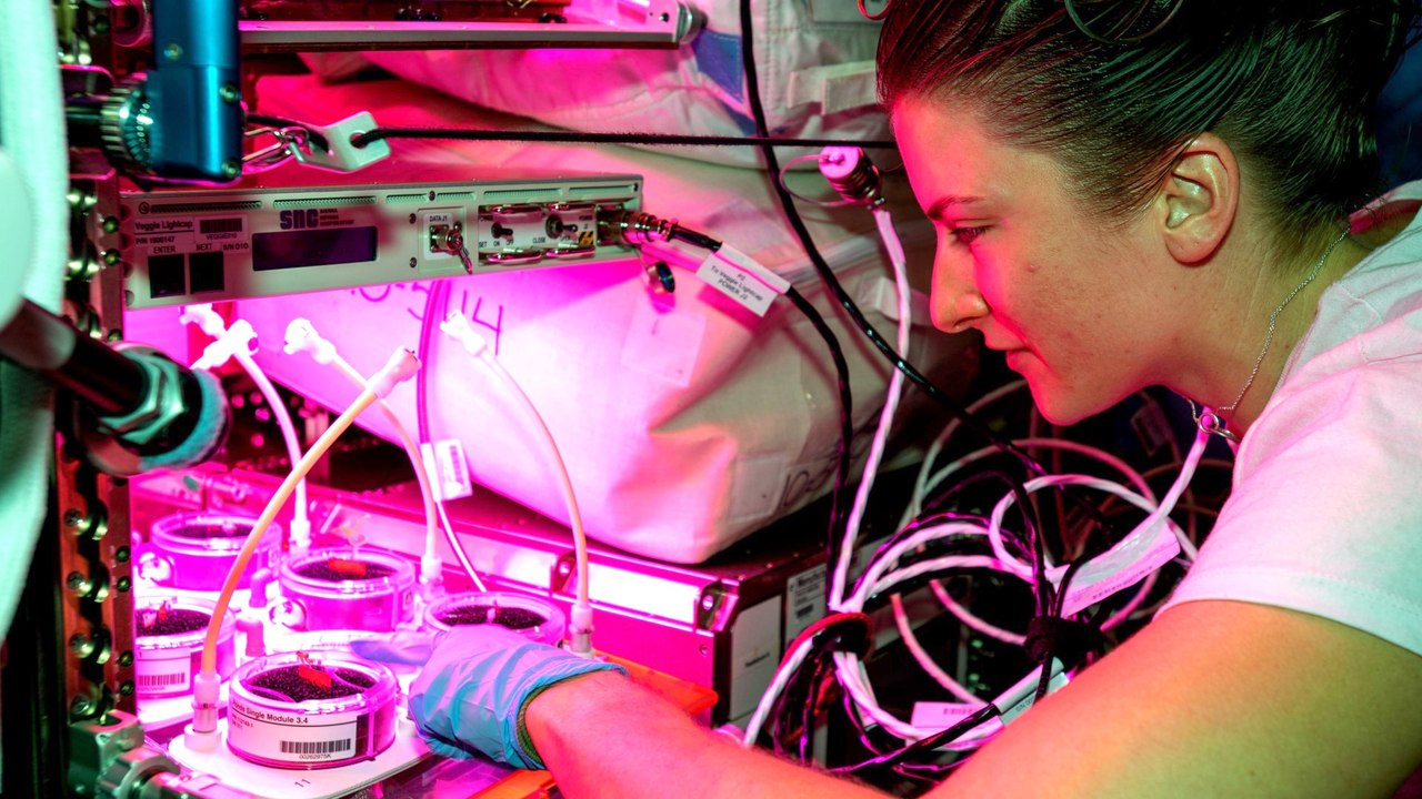 Behind the Lens: The Best ISS Photos of 2022