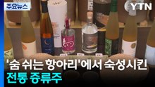 [新농비] '숨 쉬는 항아리'에서 숙성시킨 전통 증류주 / YTN