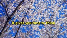 STOP BEING AVAILABLE | Why Silence Is Your Real Superpower Powerful Motivation Brene Brown Vedio