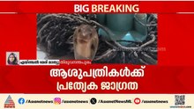'അത്യാഹിത വിഭാഗത്തിൽ പാമ്പുകടി സാധ്യത നോക്കണം' ; ആശുപത്രികൾക്ക് പ്രത്യേക ജാഗ്രത നിർദേശം | Snake bite