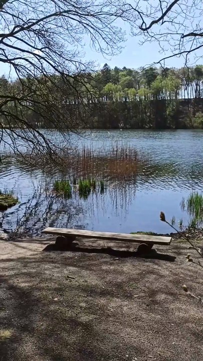 Pure Ruhe am Salemer See | Naturpark Lauenburgische Seen