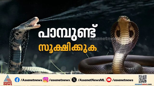ദിക്ഷലിന്റെ മരണം; ആശുപത്രിക്ക് വീഴ്ച പറ്റിയിട്ടില്ലെന്ന് സൂപ്രണ്ട്, DMOക്ക് റിപ്പോർട്ട് നൽകി