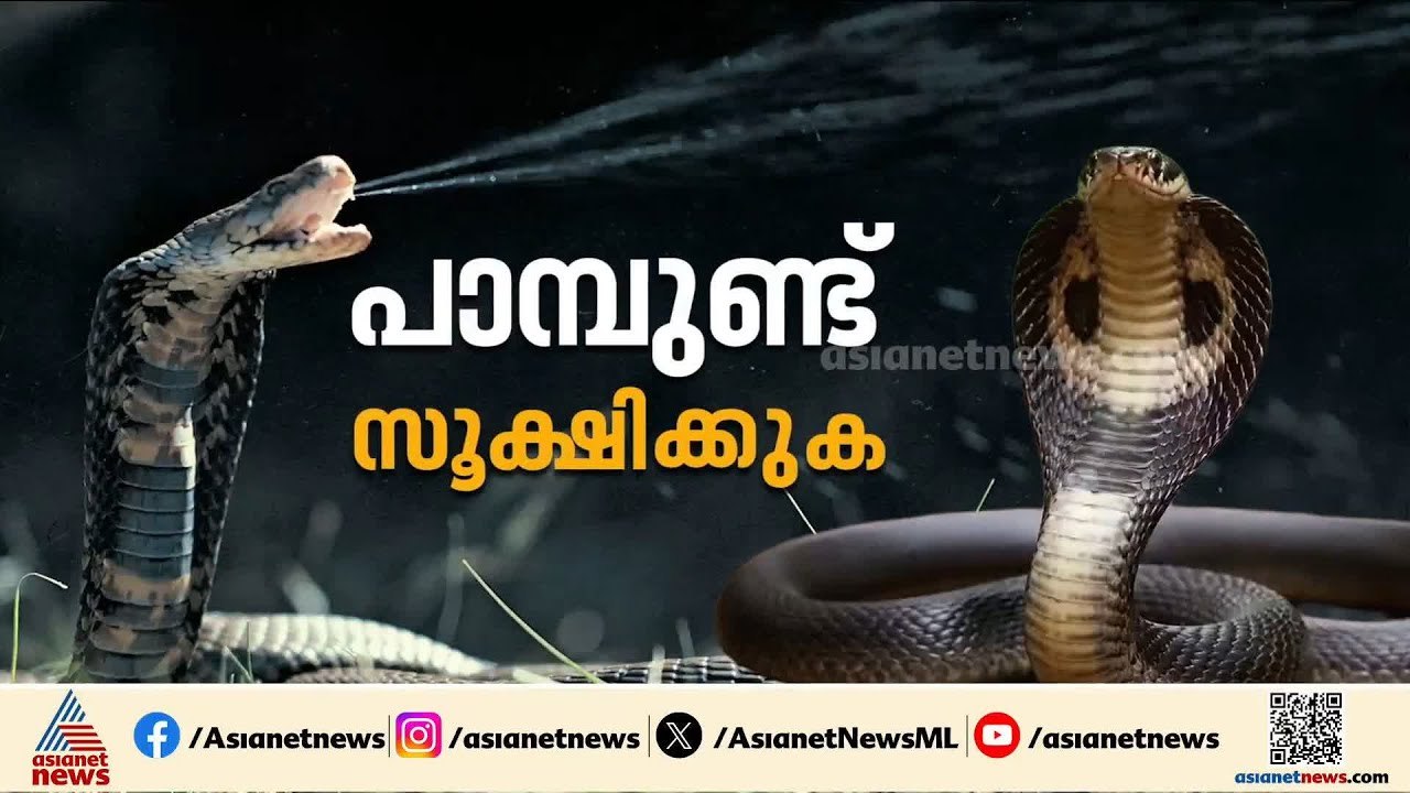 ദിക്ഷലിന്റെ മരണം; ആശുപത്രിക്ക് വീഴ്ച പറ്റിയിട്ടില്ലെന്ന് സൂപ്രണ്ട്, DMOക്ക് റിപ്പോർട്ട് നൽകി
