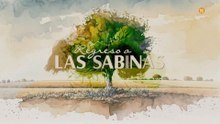 Tráiler de la serie diaria española Regreso a Las Sabinas