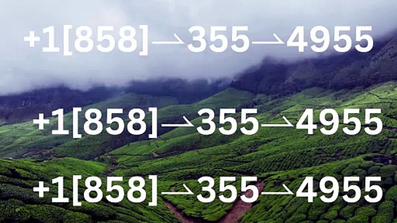 _Complete™ List of coinbaseⓃ CUSTOMER© Care℗ (Help Desk Number Support) Numbers A Complete Guide