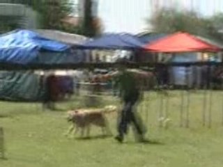 17. Gpf Peps' 8 juin 2008