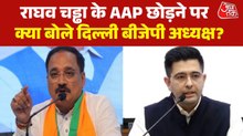 'अक्ल वाले लोग AAP में नहीं रह सकते', राघव चड्ढा पर बोले वीरेंद्र सचदेवा