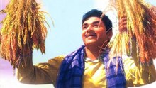 ರಾಜ್ 97ನೇ ವರ್ಷಾಚರಣೆಯಲ್ಲಿ ಅಭಿಮಾನಿ ಬಳಗ..! ಕನ್ನಡಿಗರ ಭಾವನೆಗಳ ಪ್ರತಿನಿಧಿ ಡಾ.ರಾಜ್​​ಕುಮಾರ್..!