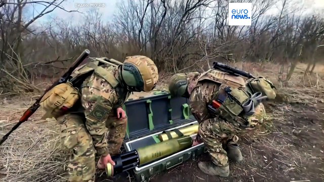 Эстонский премьер в интервью Euronews: солдатам РФ не место в Шенгене