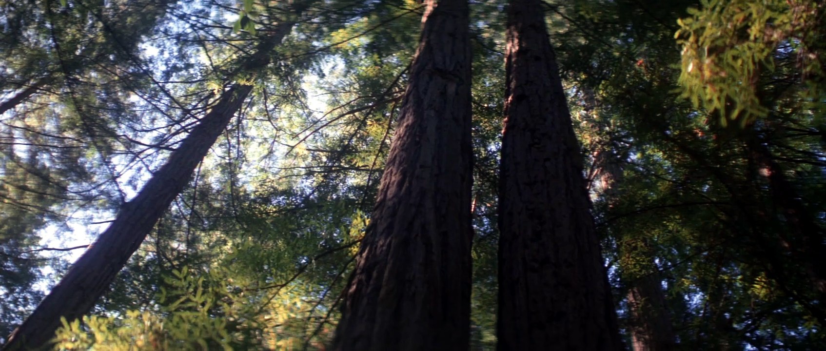 Flucht In Die Zukunft