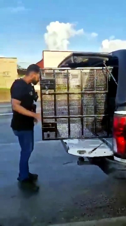 Suspeito de matar homem a golpes de arma branca em Rio Largo é preso