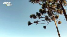 Sexta-feira será de tempo estável e calor de até 31°C no Oeste do Paraná