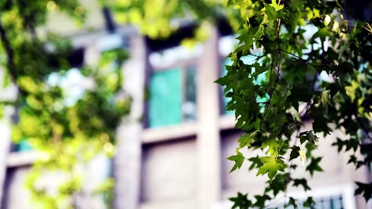 E.6 - FWYF - EngSub