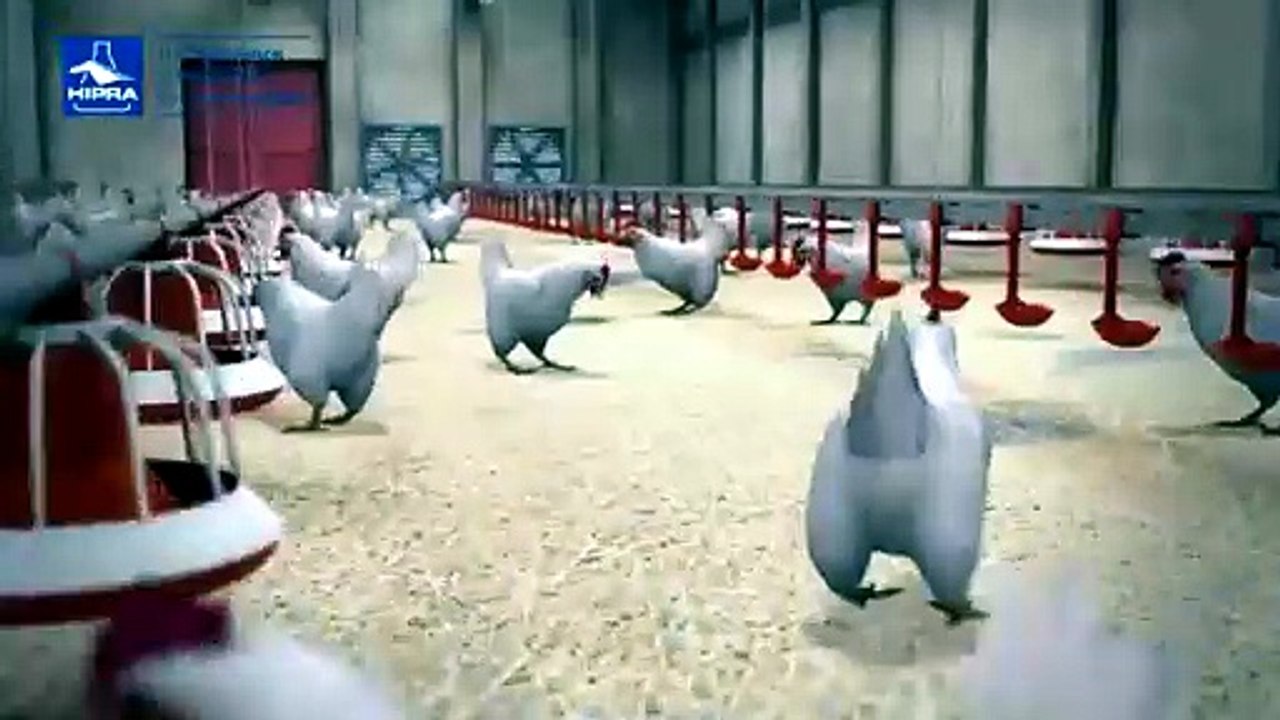 Video5