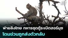 พ่ายลิงไทย ทหารชุดกู้ระเบิดฮอร์มุซ โดนข่วนถูกส่งตัวกลับ | เข้มข่าวค่ำ | 24 เม.ย. 69