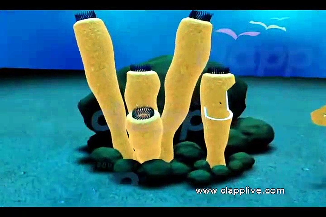 Video7