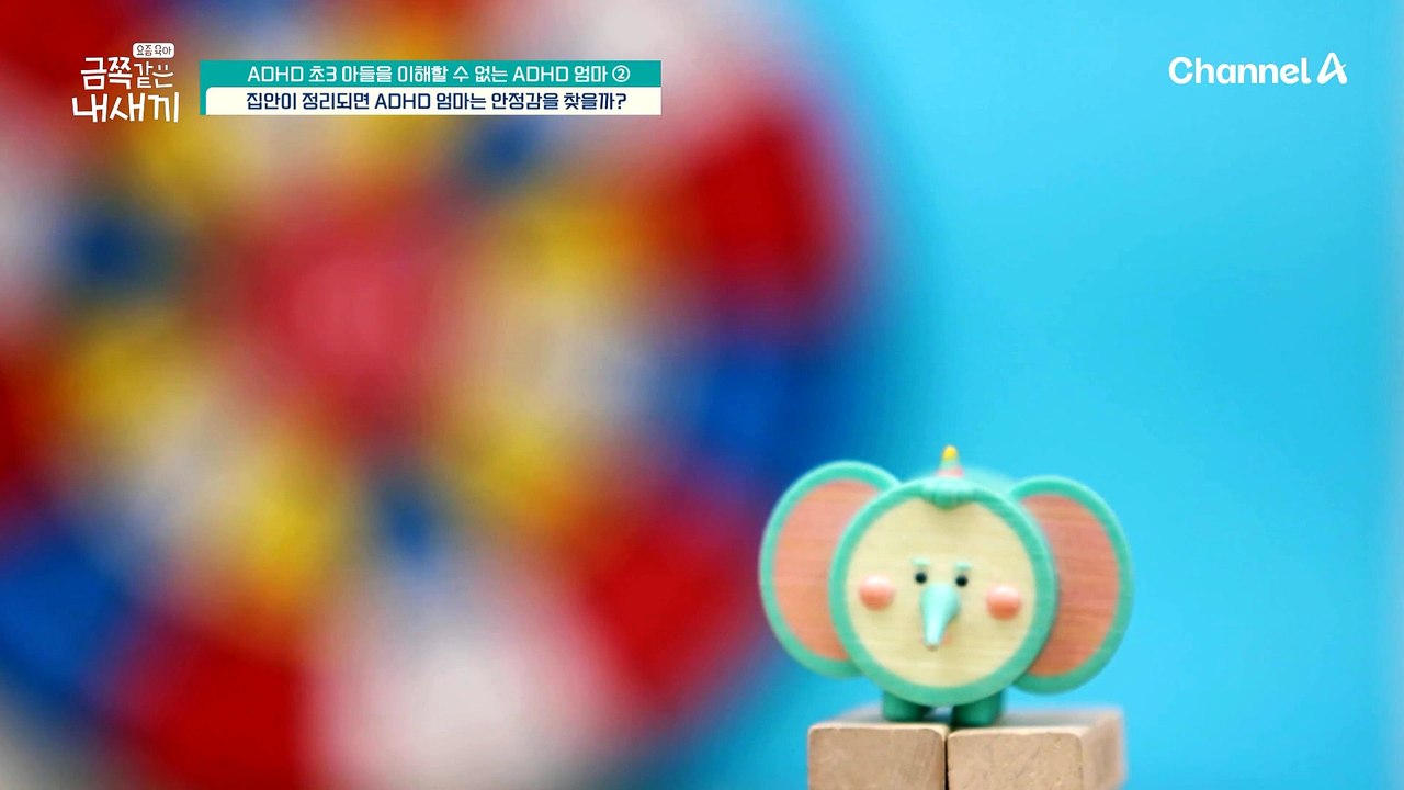 6개월 만에 간 미용실! 10분 동안 가만히 앉아 있어야 하는 금쪽이! 성공할 수 있을까?