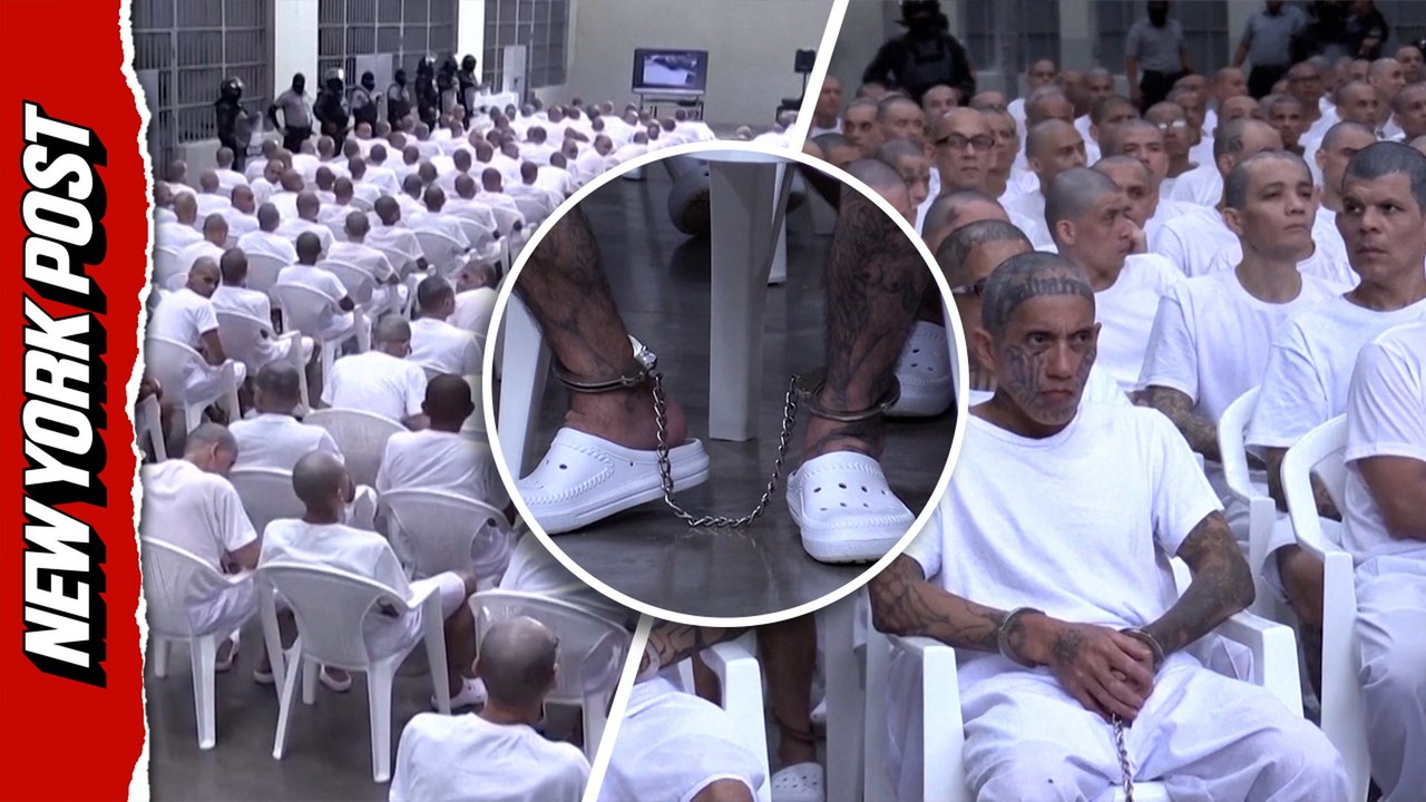 Hundreds of alleged MS-13 gang members face mass virtual trial