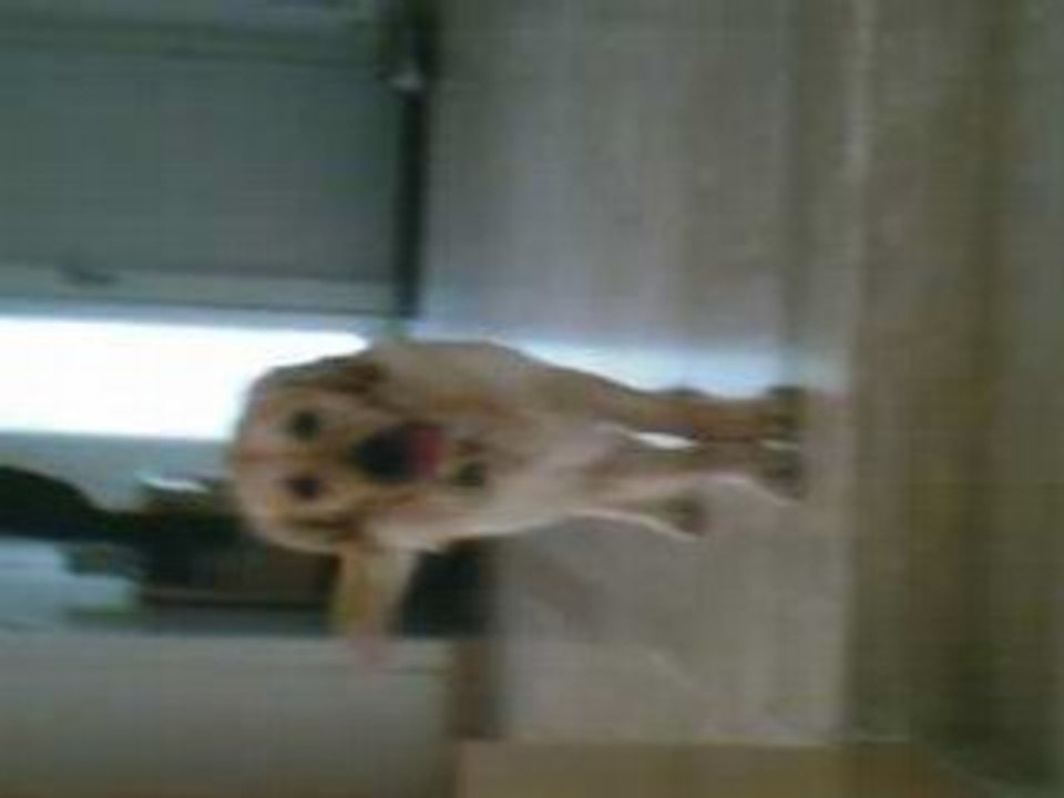 Vasco