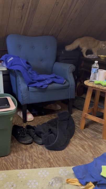 Elderly gnome heist