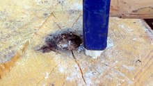 Unbelievable trick using sugar and permanganate