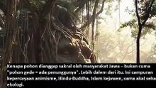 kenapa orang jawa mensakralkan pohon