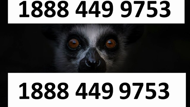 『BELLSOUTH CUSTOMER®』 SERVICE© CARE℗ NUMBERS TOLL FREE NUMBER: Easy Step by Step Guide