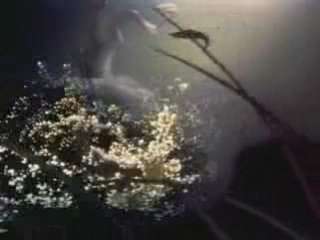 Bambi - Je chante pour toi