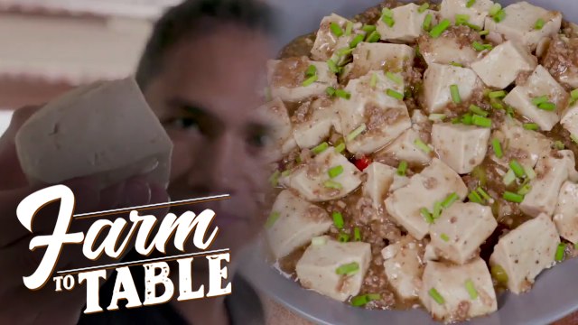 Chef JR visits a 'Tokwa' factory for the ULTIMATE TOFU EXPERIENCE! | Farm to Table