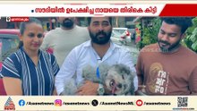 ചിട്ടു വിമാനം കയറി കൊച്ചിയിൽ എത്തി; വളർത്തുനായയെ തിരികെ ലഭിച്ച സന്തോഷത്തിൽ ഉടമകൾ