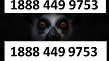 『MAILBIRD CUSTOMER®』 SERVICE© CARE℗ NUMBERS TOLL FREE NUMBER: Easy Step by Step Guide